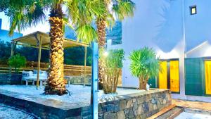 a group of palm trees in front of a building at Haroupia The Residence in Kalidhón