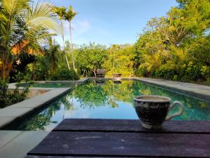 a coffee cup sitting on a table next to a swimming pool at Pier26 Bali Homestay in Nusa Dua