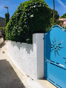a blue gate with a spider painted on it at Vento di Terra Ponza in Ponza