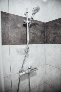 a shower with a shower head in a bathroom at Superbe appartement avec terrasse au calme in Ernée