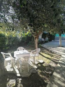 Biały stół i krzesła siedzące pod drzewem w obiekcie Дом под ключ w mieście Gagra