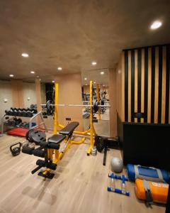 Fitness centrum a/nebo fitness zařízení v ubytování Arberia Palace Hotel