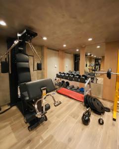 Fitness centrum a/nebo fitness zařízení v ubytování Arberia Palace Hotel