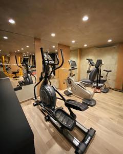 Fitness centrum a/nebo fitness zařízení v ubytování Arberia Palace Hotel