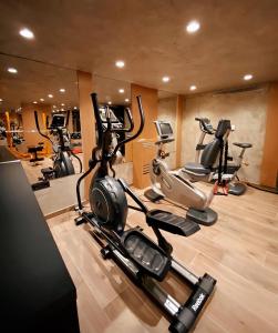 Fitness centrum a/nebo fitness zařízení v ubytování Arberia Palace Hotel