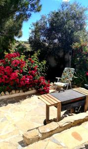 un banc et une chaise dans un jardin fleuri dans l'établissement Cortijo Paraiso, à Cúllar de Baza