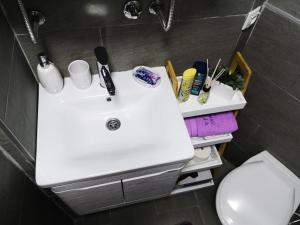 Phòng tắm tại Apartman Sofija Divcibare