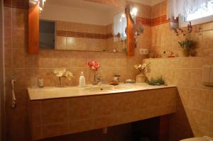 Kúpeľňa v ubytovaní Villa Bíbor Harkány