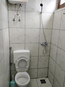 a small bathroom with a toilet and a shower at Forest House Ninokristali in Visoko