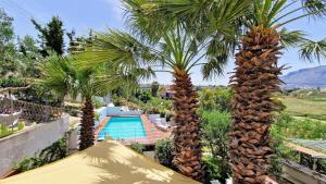 twee palmbomen voor een zwembad bij La piccola casa di Cinzia in Alcamo
