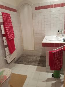 La salle de bains est pourvue de toilettes, d'un lavabo et de serviettes rouges. dans l'établissement Studio Hirondelle, à Roquebrune-sur Argens