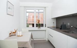 Köök või kööginurk majutusasutuses Central flat Crapera-Lenzerheide