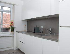 Köök või kööginurk majutusasutuses Central flat Crapera-Lenzerheide