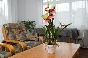 Istumisnurk majutusasutuses Central flat Crapera-Lenzerheide