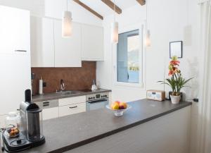 Kuchyň nebo kuchyňský kout v ubytování Flat La Riva 111 with pool-Lenzerheide