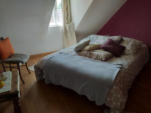 sypialnia z łóżkiem z poduszkami w obiekcie Chambres d'hôtes, " au coeur de la nature, et du calme" w mieście Descartes
