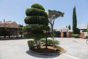 Kép Apartamento Jardin del Golf szállásáról Novo Sancti Petriben a galériában