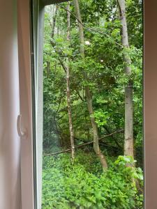 una ventana con vistas a un bosque en Good Rooms Apartamenty z 3 sypialniami parking en Lodz