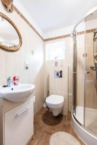 een badkamer met een toilet, een wastafel en een douche bij Domek pod Orzechem in Kudowa-Zdrój