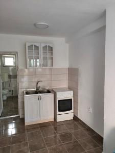 une petite cuisine avec un évier et un micro-ondes dans l'établissement Apartment Panorama, à Bar