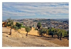 uma vista para uma cidade a partir de uma colina com árvores em Riad Layalina Fes em Fez