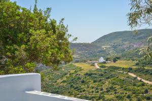 a view of a hill with trees and a mountain at XALAKAS SUMMER HOUSE in Empourios