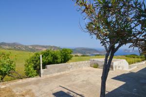 a tree sitting next to a wall next to a field at XALAKAS SUMMER HOUSE in Empourios