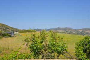 a barbed wire fence in a field with plants at XALAKAS SUMMER HOUSE in Empourios