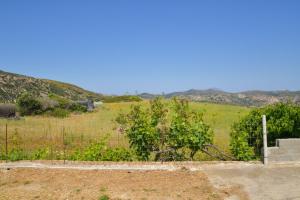 a fence in front of a field with bushes at XALAKAS SUMMER HOUSE in Empourios