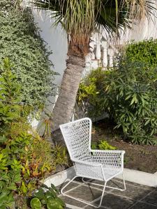 a white chair sitting next to a palm tree at Apartamentos Cancajos in Los Cancajos