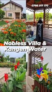 un collage de fotos de un jardín con flores en Nobless Villa, en Mereni