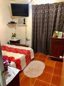 טלויזיה ו/או מרכז בידור ב-15pax-2 minutes to Vigan-RoseandFer Transient-2 Bedroom House