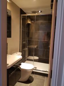 a bathroom with a shower and a toilet and a sink at Glanthams Lodge Guestroom in Shenfield