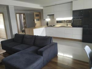 a living room with a couch and a kitchen at APARTAMENT OSTROWO 1 in Ostrowo