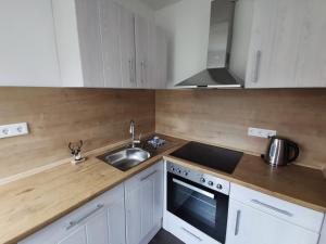 a kitchen with white cabinets and a sink and a stove at FeWo An der Elpe zwischen Winterberg und Fort Fun in Olsberg