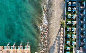 Fotografie z fotogalerie ubytování İda Colors Hotel v destinaci Altinoluk