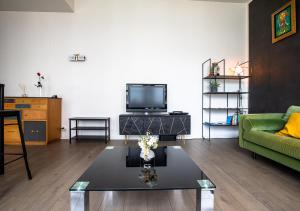 salon z zieloną kanapą i telewizorem w obiekcie Le Loft Horloger avec parking w Besançon