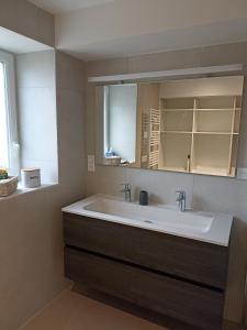 a bathroom with a large white sink and a mirror at PIGEONNIER DE SABAILLAN in Castelnau-dʼArbieu