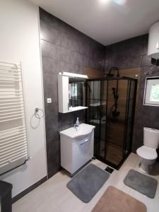 Kúpeľňa v ubytovaní Apartman Dukat