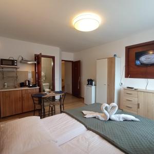 Η κουζίνα ή μικρή κουζίνα στο Apartament Willa Jacuu