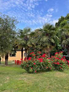 Zahrada ubytování Parco Hotel Sassi
