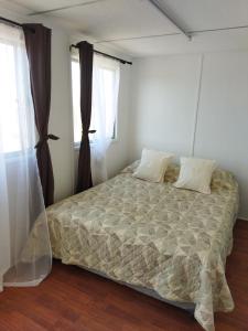 a bedroom with a bed and two windows at Container home in Santa Teresa de Lo Ovalle