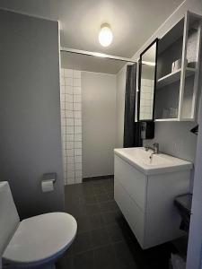 a bathroom with a white sink and a toilet at Hotel Nordica Strömsund in Strömsund