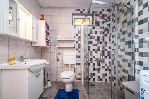 a bathroom with a toilet and a sink and a shower at Apartman Best in Novigrad Dalmatia +15 photos