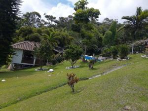 a yard with trees and a house in the background at Finca la Isabella in Fredonia