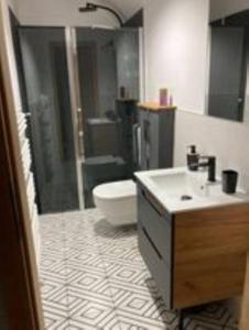 杜什尼基-兹德鲁伊Apartamenty Brzozowe Zacisze的带水槽、淋浴和马桶的浴室 更多6张照片