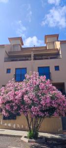 een boom met roze bloemen voor een gebouw bij Sommer Sonnenhaus in Santa Cruz de Tenerife