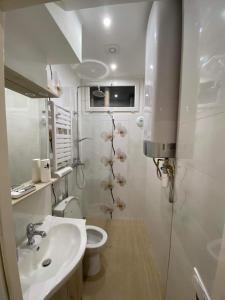 Kúpeľňa v ubytovaní Charmant appartement au cœur de Tarascon + 25 fotografií