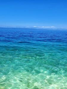 ein großer Wasserkörper mit blauem Wasser in der Unterkunft Apartments Blueness in Prigradica