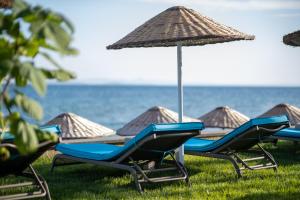 Fotografie z fotogalerie ubytování İda Colors Hotel v destinaci Altinoluk